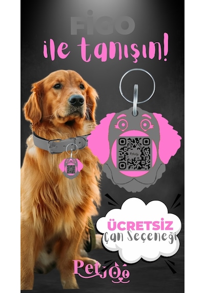 Petjoo 27.Figo Pembe-Gri Qr'lı Köpek Künyesi
