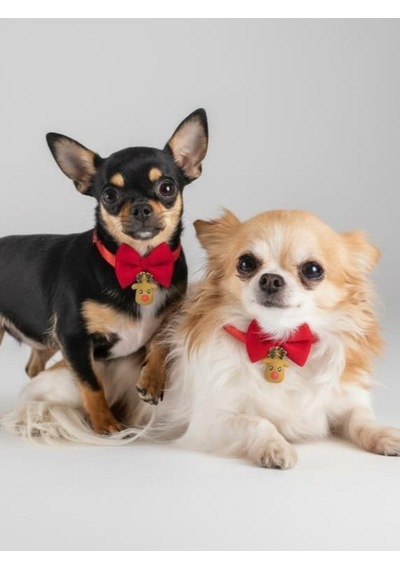 Yılbaşı Geyiği Küçük Irk Köpek Papyon Tasması Kırmızı Fiyonk Boyun Aksesuarı Noel Temalı Köpek Süsü