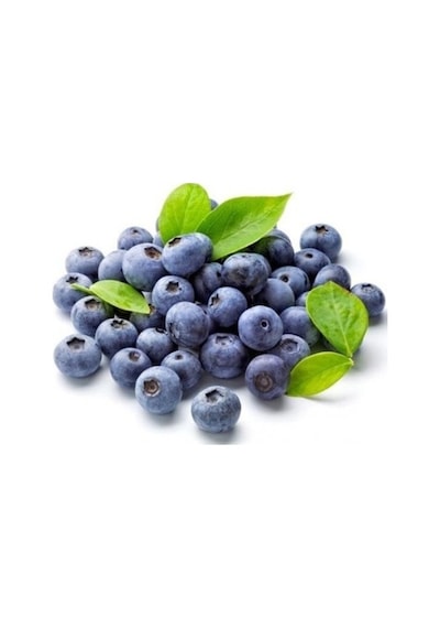 2 Adet Tüplü Yaban Mersini(Likapa,Blueberry,Maviyemiş) Fidanı