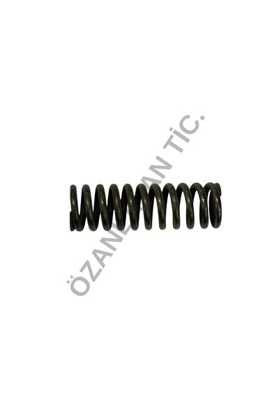 Pejo Motor Gergi Yayı