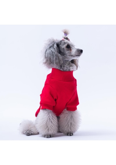 Kırmızı Wow Nakışlı Esnek Kedi Köpek Sweat- Kedi Köpek Kıyafeti Kırmızı Wow Nakışlı Esnek Kedi Köpek Sweat- Kedi Köpek Kıyafeti