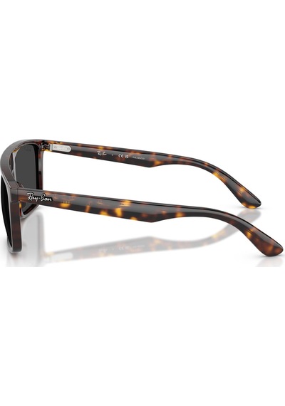 Ray-ban Rb2222 902/48 55 Polarize Unisex Güneş Gözlüğü Havana