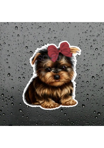 Sevimli Yorkshire Terrier Köpek Araba Sticker Çıkartma 2