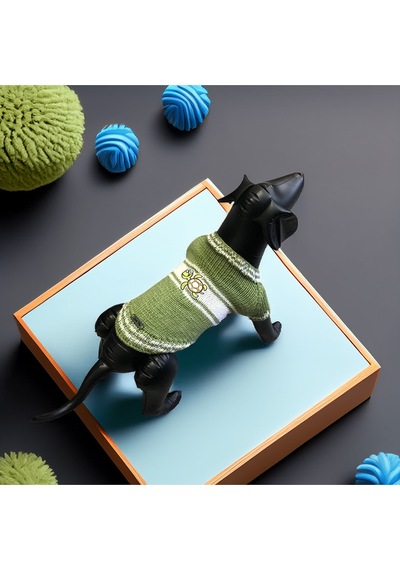 Kedi Ve Köpek İçin Kaplumbağalı Yeşil Kazak