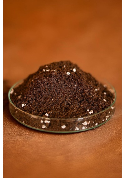 Peat Moss 5l X2 Organik Torf Toprak Saksı Ve Fide İçin Avantaj Paket 0