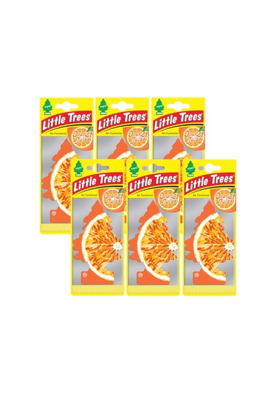 Car Freshner Asma Koku 6'lı Portakal