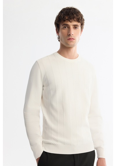 Avva Erkek Ekru Bisiklet Yaka Jakarlı Rayon Tüylenmeyen Regular Fit Triko Kazak A42y5072