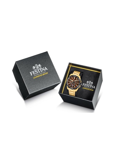 Festına F20727/3 Chrono Bıke Erkek Kol Saati Gri