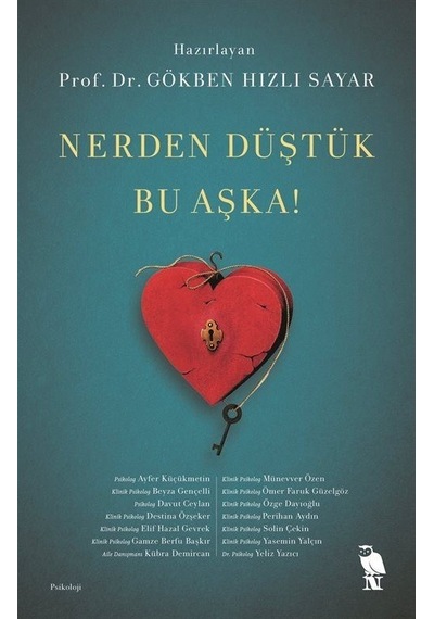 Nerden Düştük Bu Aşka! - Gökben Hızlı Sayar - Nemesis Kitap