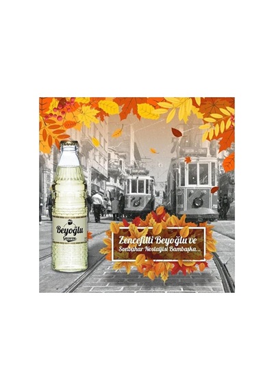Beyoğlu Gazozu Gazoz Zencefil 24x250 Ml