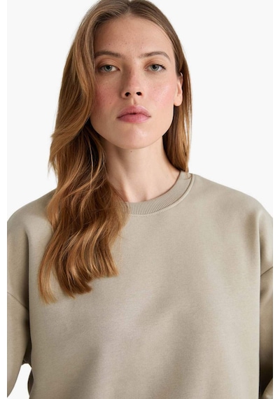 Defacto Boxy Fit Bisiklet Yaka Basic Düz Sweatshirt B8568ax25aukh475 Haki Defacto Boxy Fit Bisiklet Yaka Basic Düz Sweatshirt B8568ax25aukh475 Haki