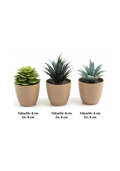 Üçlü Mini Yapay Sukulent Seti 8 Cm Saksı, Dekoratif Küçük Bitki Seti, Gerçekçi Görünüm, Salon Ofis Ev Ma Diğer