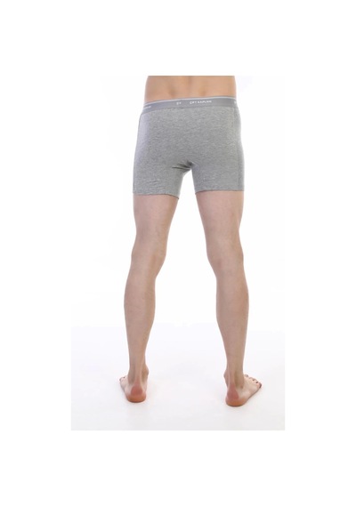 Çift Kaplan 880 Elastanlı Erkek Boxer Gri