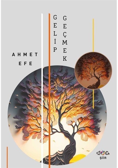 Gelip Geçmek - Ahmet Efe - Nar Yayınları