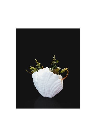 Deniz Kabuğu Görünümlü Saksı Dekoratif 3d Özel Tasarım Premium Hediyelik Beyaz - 858785211