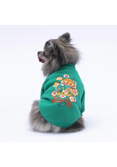 Yeşil Chongqing Kedi Köpek Sweat- Kedi Köpek Kıyafeti