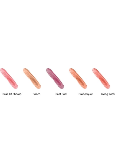 Reva Lip Cheek & Eye Tint Living Coral No: 114 Allık Far & Dudak Renklendirici 3 in 1 Stick 6.4 G