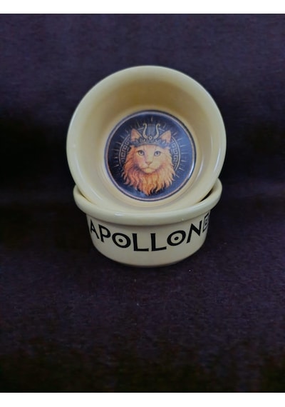 Raccoon Olimpos Serisi Apollon Seramik Mama Ve Su Kabı 300ml