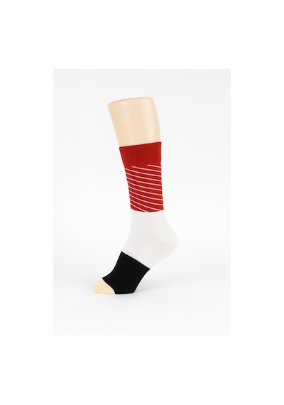 Carnaval Socks Carnaval Unisex Hediye Sushi Kutusu Çorap Seti - Sushi Desenli Pamuk Çorap - Sushi Socks Box 2000386