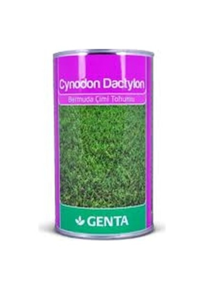 Genta Cynodon Dactylon 500 GR
