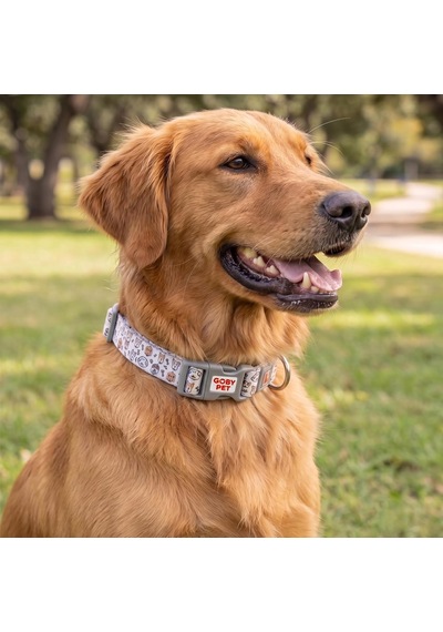 Gobypet Desenli Köpek Boyun Tasması 25 Mm, Ayarlanabilir 39-55 Cm, Güçlendirilmiş Emniyet Kilitli Toka, Paslanmaz Metal D Halka, Dayanıklı Kumaş, Günlük Kullanım, Yürüyüş Ve Eğitim İçin Çok Renkli Gobypet Desenli Köpek Boyun Tasması 25 Mm, Ayarlanabilir 39-55 Cm, Güçlendirilmiş Emniyet Kilitli Toka, Paslanmaz Metal D Halka, Dayanıklı Kumaş, Günlük Kullanım, Yürüyüş Ve Eğitim İçin Çok Renkli