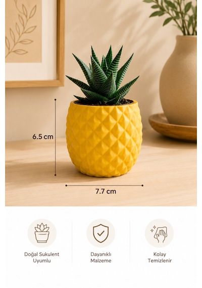 Geometrik Desenli Sukulent Saksısı Mini Kaktüs Saksı Masa Üstü Dekoratif Pla Saksı 7.7x6.5 Cm