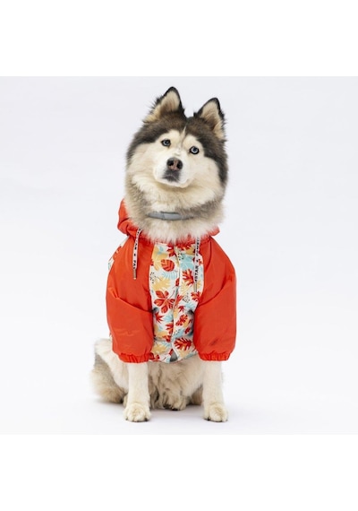 Pawstar Ottawa Büyük Irk Yağmurluk