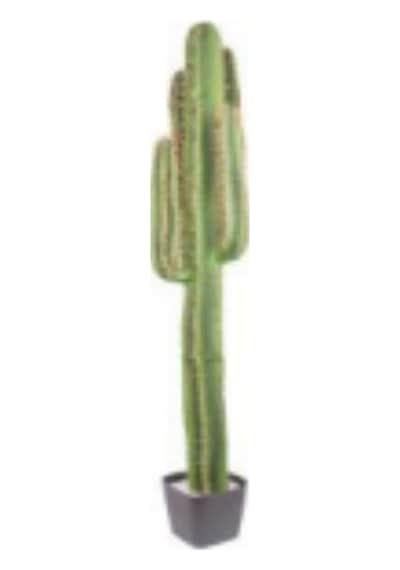 Yapay Kaktüs, Saksılı - 175 Cm Çok Renkli