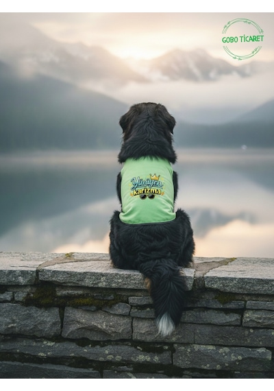 Yeşil Yürüyen Karizma Yazılı Kedi Ve Köpek Kıyafeti Tişörtü Elbisesi Medium/m/beden 2