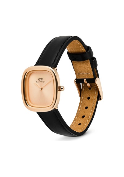Daniel Wellington Dw00600879 Kadın Kol Saati Diğer
