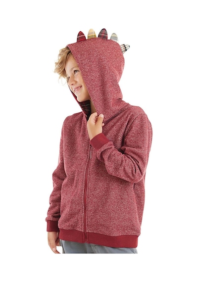 Denokids Ejderha Erkek Çocuk Bordo Kapişonlu Fermuarlı Sweatshirt Bordo