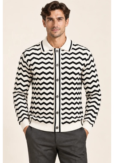 Tarz Cool Erkek Polo Yaka Zikzak Desenli Düğmeli Triko Hırka Akrilik Karışımlı Slim Fit Beyaz