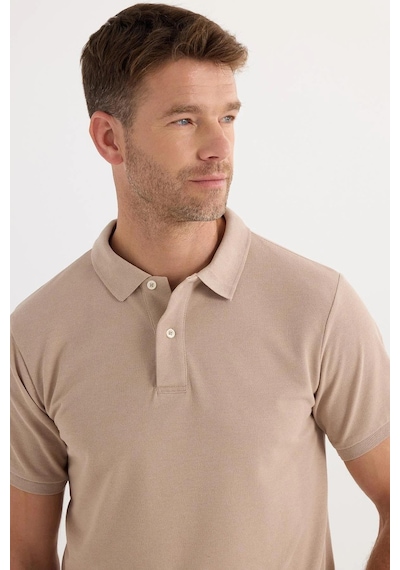 Tudors Erkek 5'li Paket Siyah-mavi-gri-vizon-petrol Slim Fit Pamuklu Düz Pike Polo Yaka Tişört-37577 Multi Tudors Erkek 5'li Paket Siyah-mavi-gri-vizon-petrol Slim Fit Pamuklu Düz Pike Polo Yaka Tişört-37577 Multi