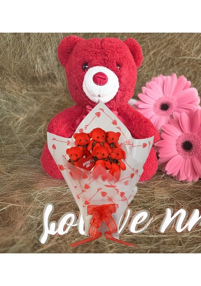 Sevimli 35 Cm Peluş Ayı İle Premium Yumoş Kırmızı Peluş Ayıcık Buketi