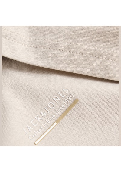 Jack & Jones Erkek Gögüs Baskili Regular Fit Bisiklet Yaka Tisört - Kyle - 12298462 Çok Renkli