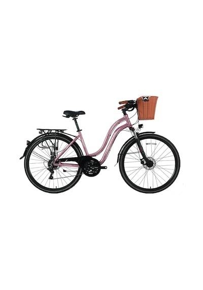 Bisan Ctx 6300 Şehir Bisikleti 46 Cm Disk Fren 28 Jant 21 Vites Pembe Mor Pembe