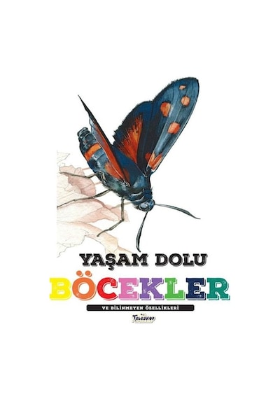 Yaşam Dolu Böcekler ve Bilinmeyen Özellikleri- Teleskop Popüler Bilim
