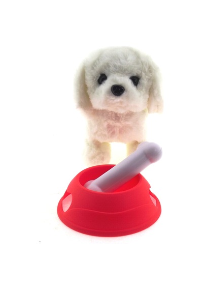Sesli Ve Hareketli Beyaz Yavru Köpek
