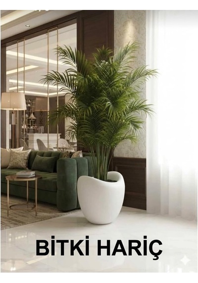 Modern İç Ve Dış Mekan Kullanımı, 40x45 Cm, Beyaz, Polyester Fiber Beton Amorf Saksı Modern Dekoratif Saksı