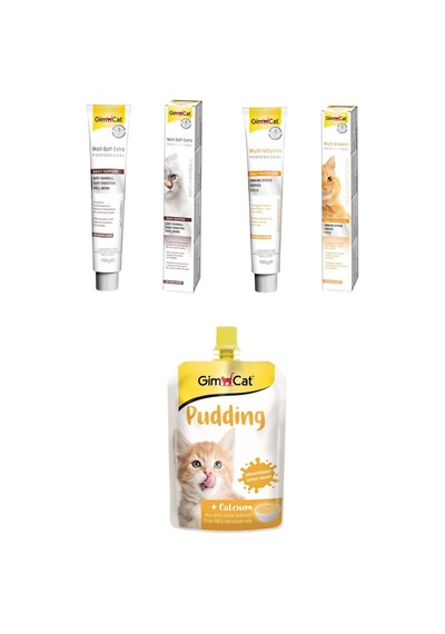 Gimcat Multivitamin Kedi Macunu 100 G + Malt Soft Extra 100 G