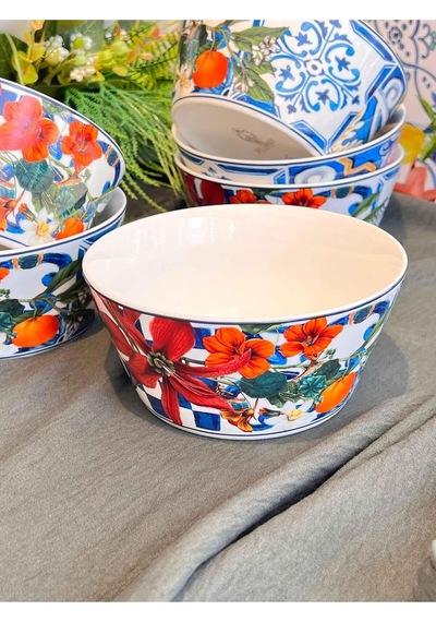 Italy Garden Çorba Kasesi 6'li Çok Renkli