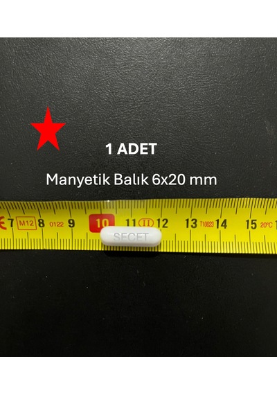 Manyetik Balık 6x20 Mm - Boy:20 Mm - Çap:6 Mm - 1 Adet
