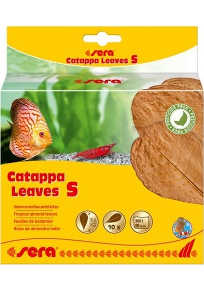 Sera Catappa Leaves Hint Bademi Yaprağı S 14 Cm (10 Adet)