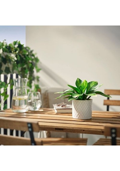 Ikea Fejka Yapay Bitki, Yeşil, 9 Cm, İç/dış Mekan Muz Zambağı