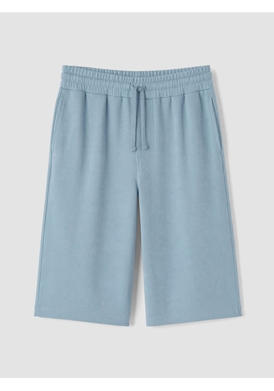 Lcwaıkıkı Classic Mavi Regular Fit Erkek Şort