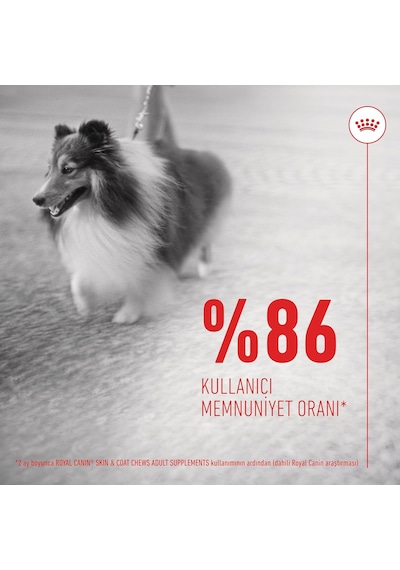 Skin & Coat Yetişkin Köpek Maması 240 G