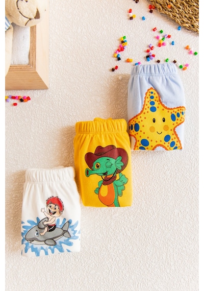 Bebelove Erkek Bebek 3'lü Erkek Bebek Alıştırma Külodu Karışık Renk