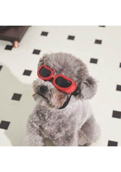 M-pets Sunny Daytrip Köpek Gözlüğü Kırmızı