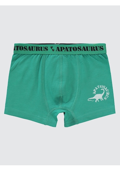 Civil Boys Erkek Çocuk 3'lü Boxer Set 2-10 Yaş Yeşil