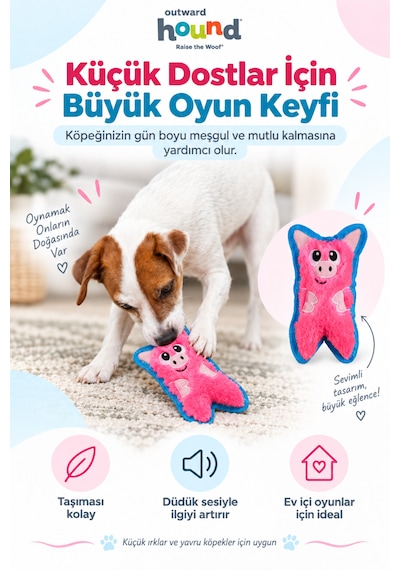Petstages Durablez Tough Pig Pink Düdüklü Dayanıklı Peluş Köpek Oyuncağı Xsmall